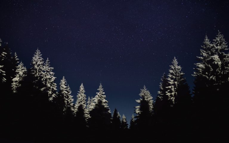 Nocne sanki w Zakopanem