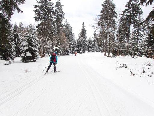 Biegówki na Dolnym Śląsku - Spalona