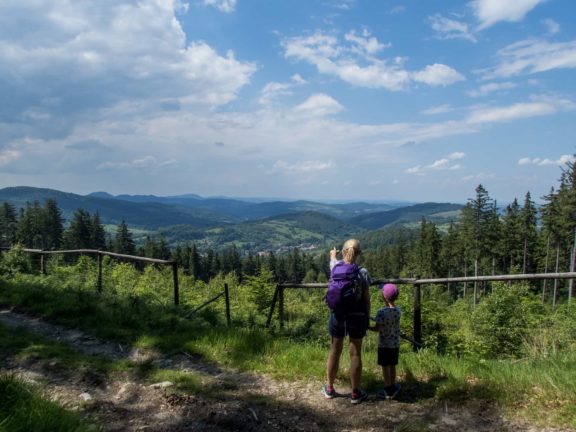 Wielka Sowa z dzieckiem