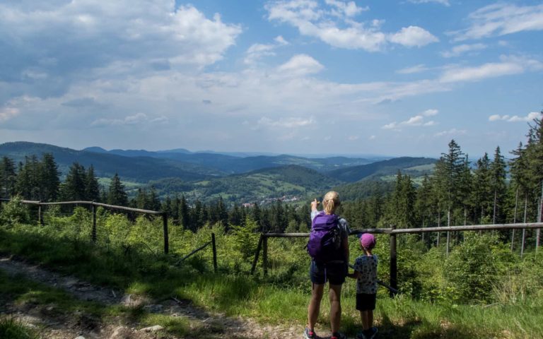 Wielka Sowa z dzieckiem