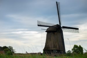 Holenderskie wiatraki, wycieczka rowerowa
