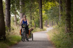 Podróż rowerowa z psem przez wyspę Texel