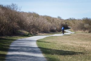 Ścieżki rowerowe na wyspie Schiermonnikoog
