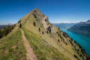 Trekking z psem w Szwajcarii - Hardergrat
