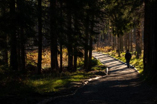 Spacer o poranku w Tatrach