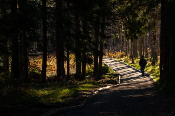 Spacer o poranku w Tatrach