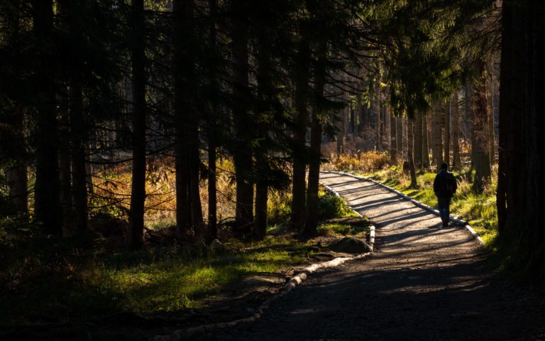 Spacer o poranku w Tatrach