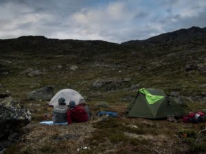Spanie na dziko w Norwegii