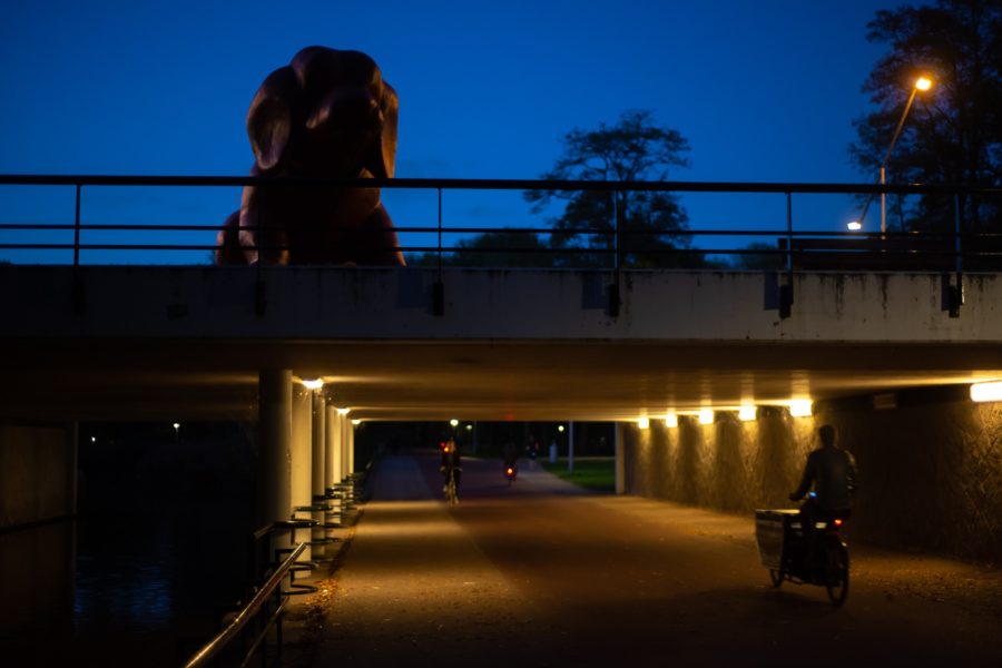 Rembrandtpark nocą, Amsterdam