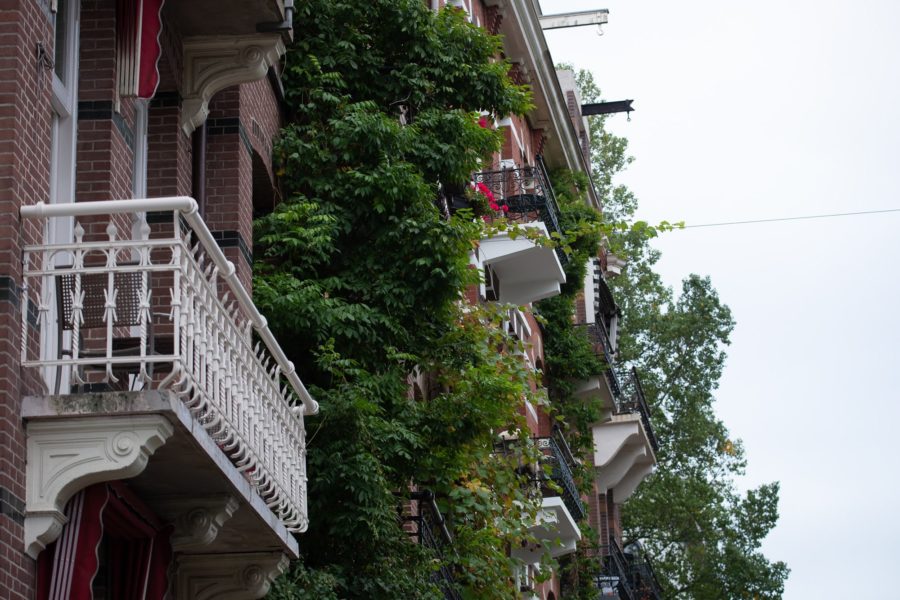 Porośnięte roślinnością kamienice na Weesperzijde, Amsterdam