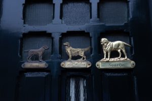 Tabliczki z psami na drzwiach w Amsterdamie