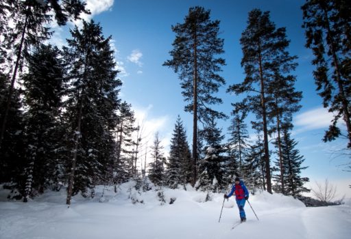 Małe Pieniny na skiturach