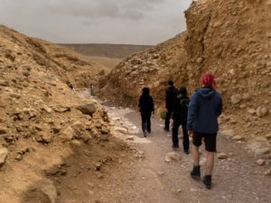 Co robić w okolicy Eilatu