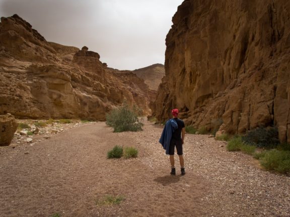 Czerwony Kanion Izrael Negev