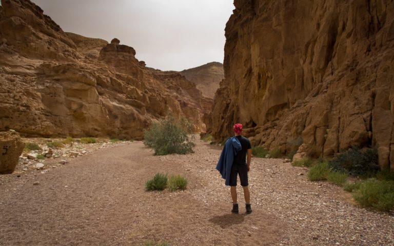 Czerwony Kanion Izrael Negev