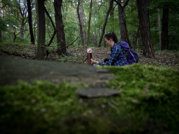 Znajdź się w lesie