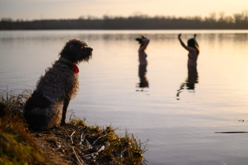 Bajkał pod Wrocławiem morsowanie