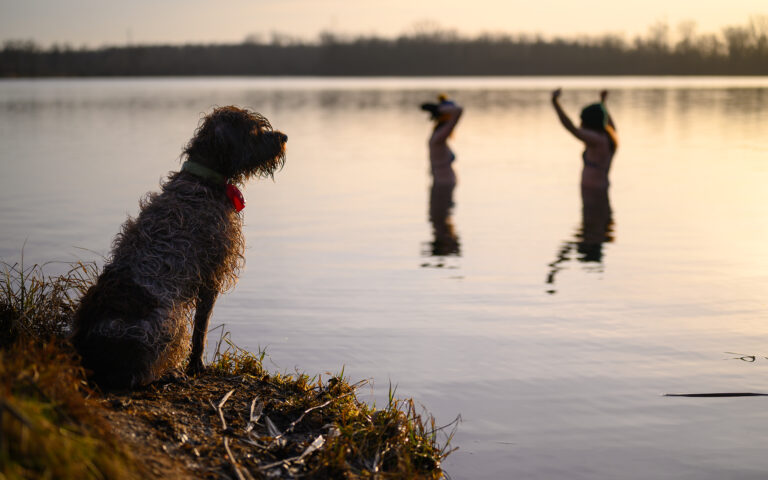 Bajkał pod Wrocławiem morsowanie