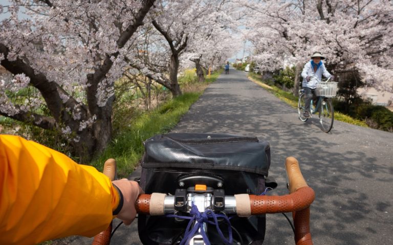 Japonska kwitnaca wisnia - wiosenna podroz rowerem