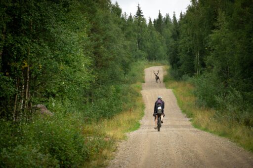 Arctic Post Road i norweskie fiordy